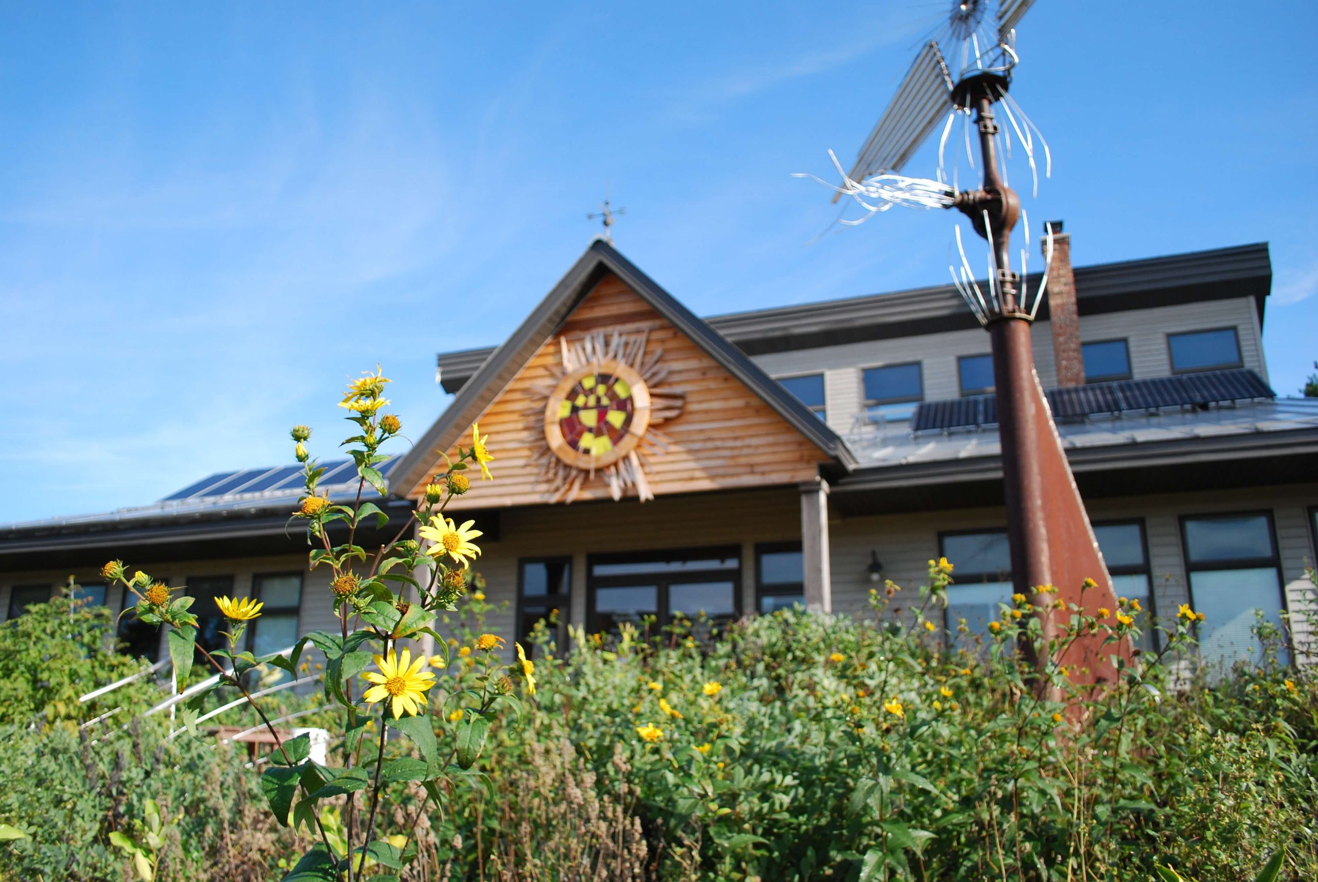 MREA-Custer_Office-Flowers